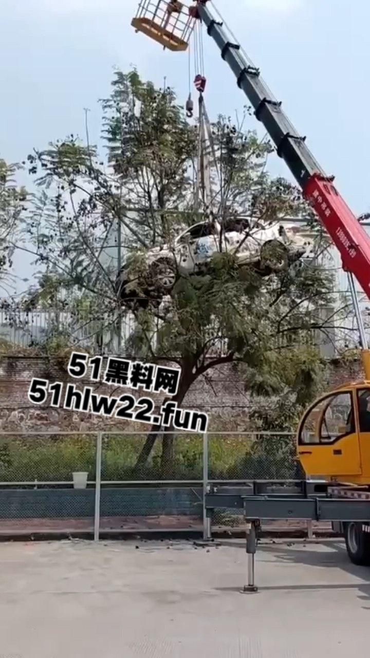 小刀拉屁股开了眼了，宜宾长宁驾校一教练教女学员开车一脚开飞直接上树，这车技也是没谁了！-3