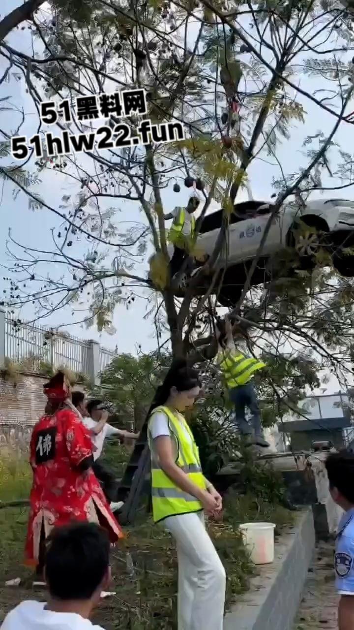 小刀拉屁股开了眼了，宜宾长宁驾校一教练教女学员开车一脚开飞直接上树，这车技也是没谁了！-9