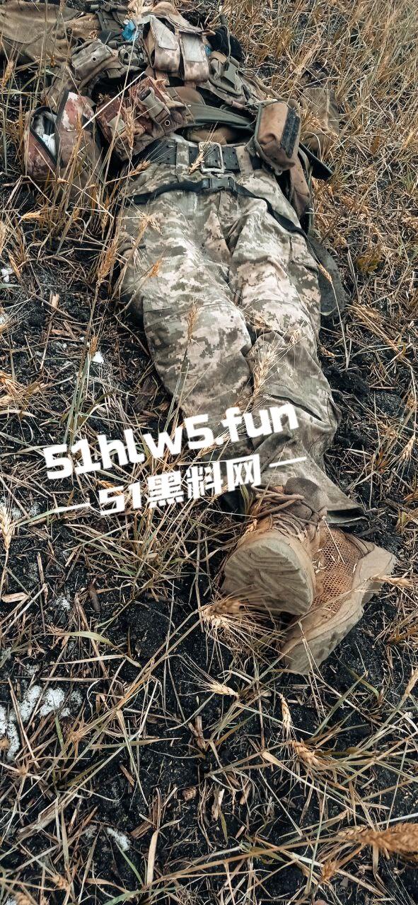【血腥恐怖】俄乌战场战后清扫,到处都是早已腐烂的士兵尸体,现场视频画面流出。-3