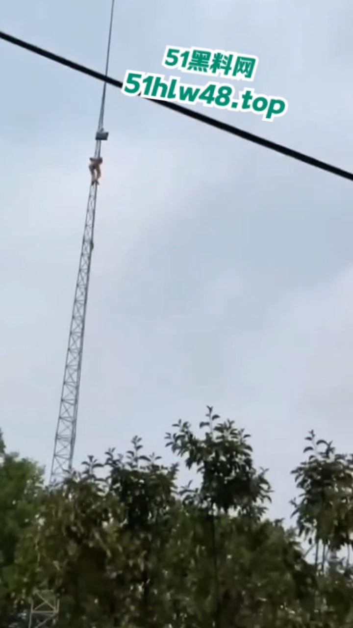 瓜友实拍裸女被绑电线杆,疑似是主人的任务逼迫美女爬上信号塔,再将其绑住完美展示。-2