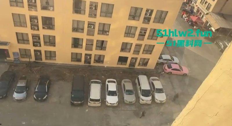 军方突击检查缅甸亚太城,吓得园区里的狗推们瑟瑟发抖,疯狂吐槽保护费白交。-7