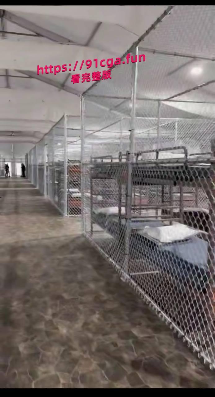 佛罗里达州推出鳄鱼岛监狱，简直是人间地狱太可怕了，这辈子都不要去这里-3