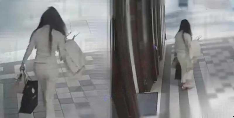 头颅寻获！蔡天凤名媛烹尸案后续 头颅胸骨煮透锅里还有碎骨和萝卜-7