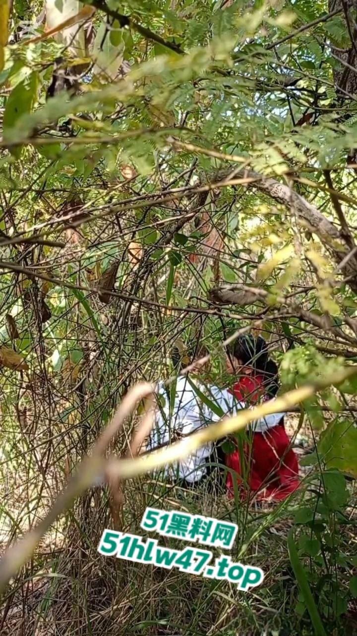 情侣景区小树林露天野战被偷拍,景区小树林里操逼,裸露下体疯狂动鸡刺激中出小骚逼。-3