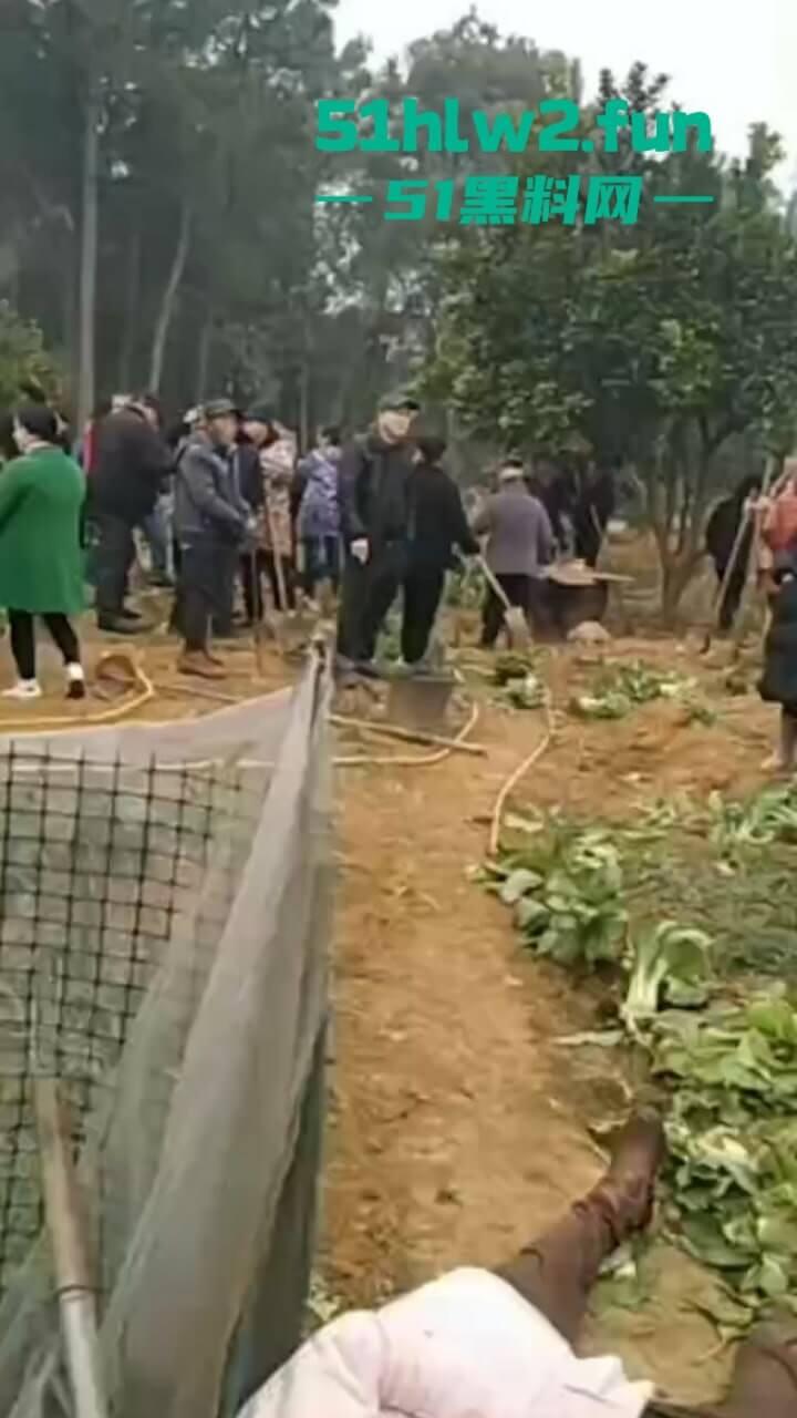 湖南衡阳李花村和添枝村互殴,数名外姓移门村民被打晕倒地不起,现场实拍流出。-4