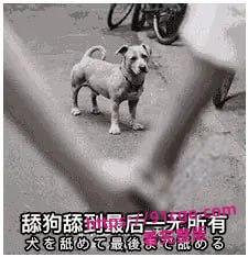 【'舔狗' 自鉴】😭今日被正式确诊为 卑微舔狗!-2