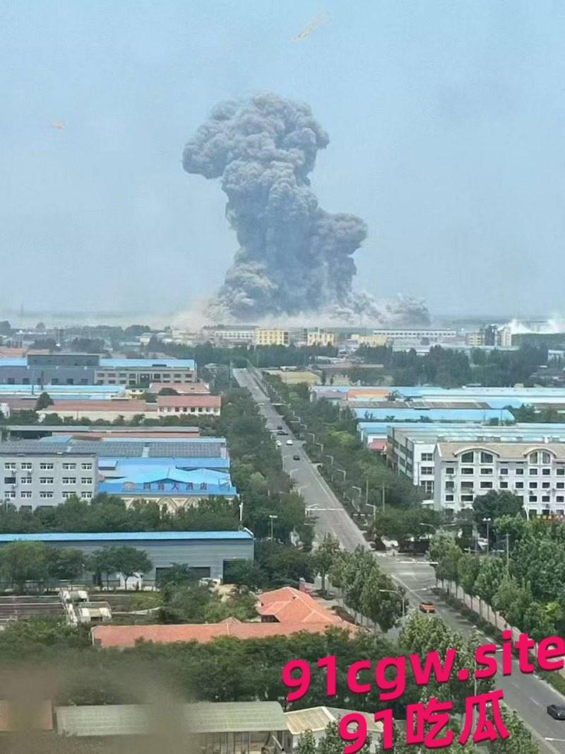 山东高密一杀虫剂化工厂发生大爆炸 现场浓烟滚滚遮天蔽日!-6