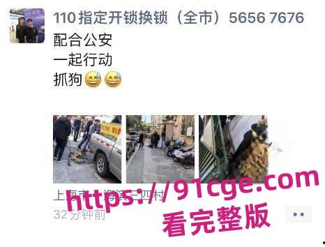 上海抓狗行动特警撬锁 只为抓捕16岁退瘫痪役警犬!-4