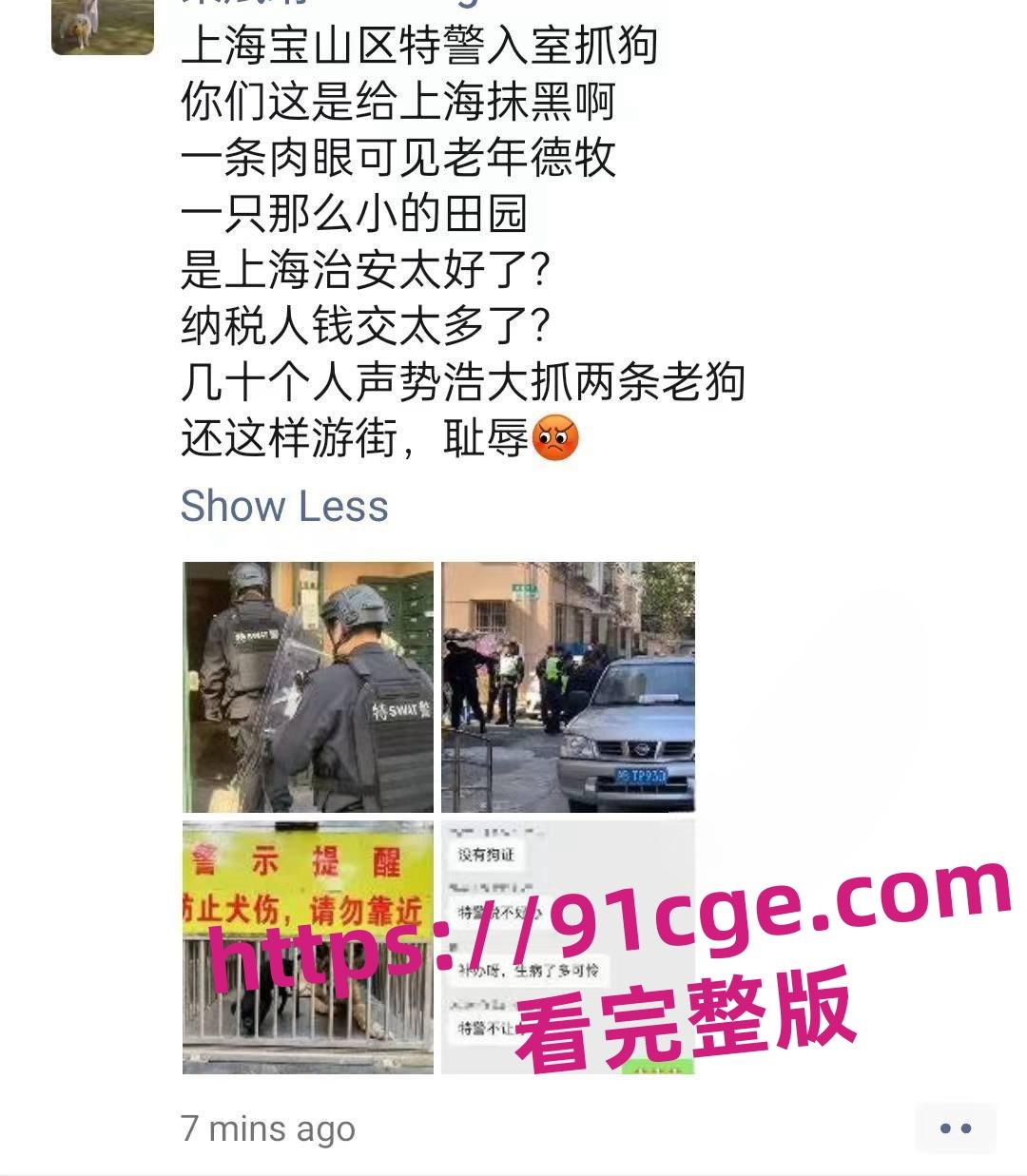 上海抓狗行动特警撬锁 只为抓捕16岁退瘫痪役警犬!-5