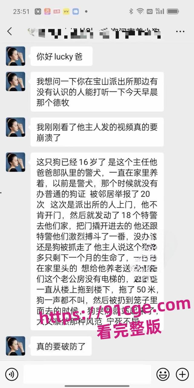 上海抓狗行动特警撬锁 只为抓捕16岁退瘫痪役警犬!-6