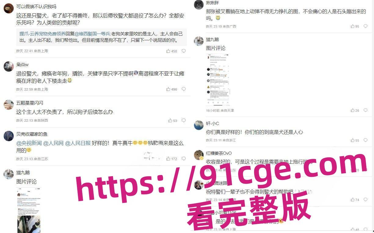 上海抓狗行动特警撬锁 只为抓捕16岁退瘫痪役警犬!-7