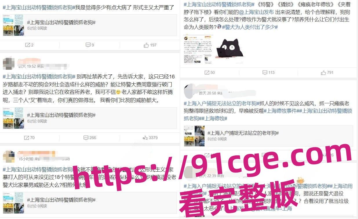 上海抓狗行动特警撬锁 只为抓捕16岁退瘫痪役警犬!-8