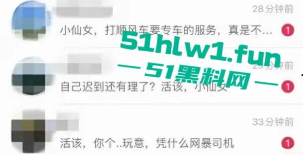 顺风车天津高速扔下乘客事件,细节曝光后许多网友支持顺风车这种麻烦女故意蹭热度吗-4