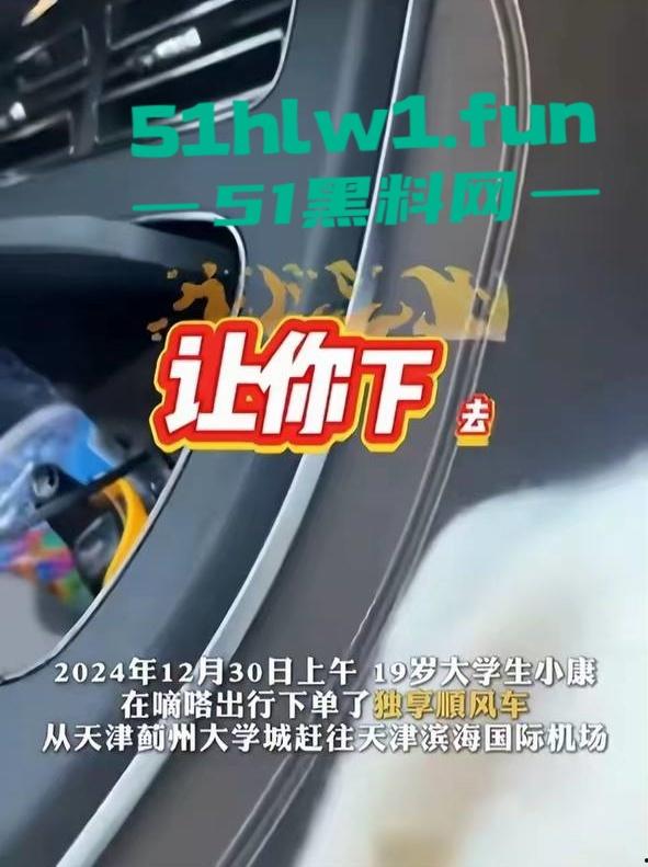 顺风车天津高速扔下乘客事件,细节曝光后许多网友支持顺风车这种麻烦女故意蹭热度吗-24