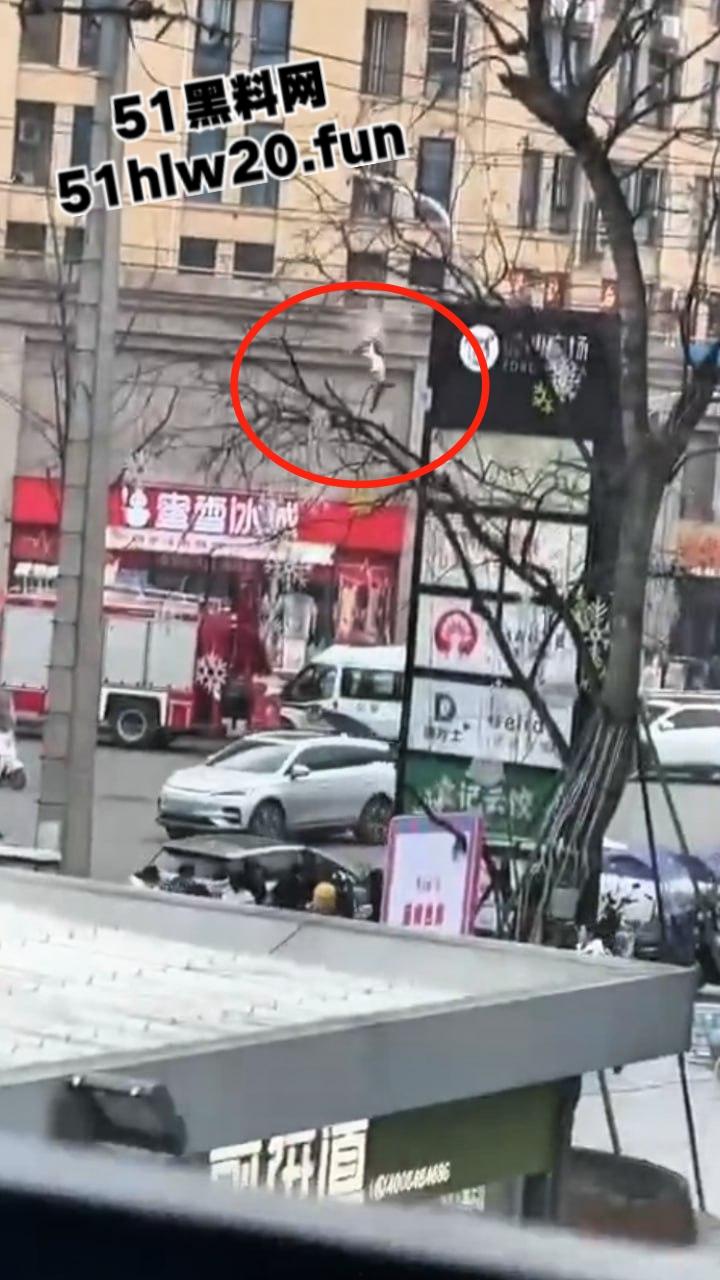 自杀跳楼实拍,辽宁十几岁女孩因谈恋爱被家人阻止,被家人囚禁在家中,女孩逃出窗外跳楼自杀。-1