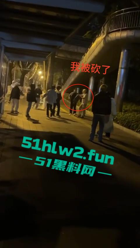 网传两群精神小伙天桥下约架,谁跳砍谁蒙面刀客低调上场,人狠话不多提起就是一刀儿。-1