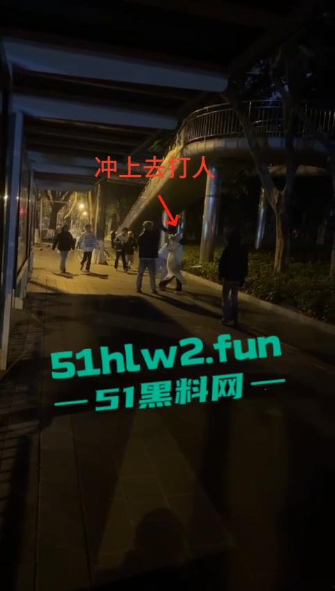 网传两群精神小伙天桥下约架,谁跳砍谁蒙面刀客低调上场,人狠话不多提起就是一刀儿。-2