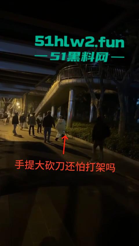 网传两群精神小伙天桥下约架,谁跳砍谁蒙面刀客低调上场,人狠话不多提起就是一刀儿。-3