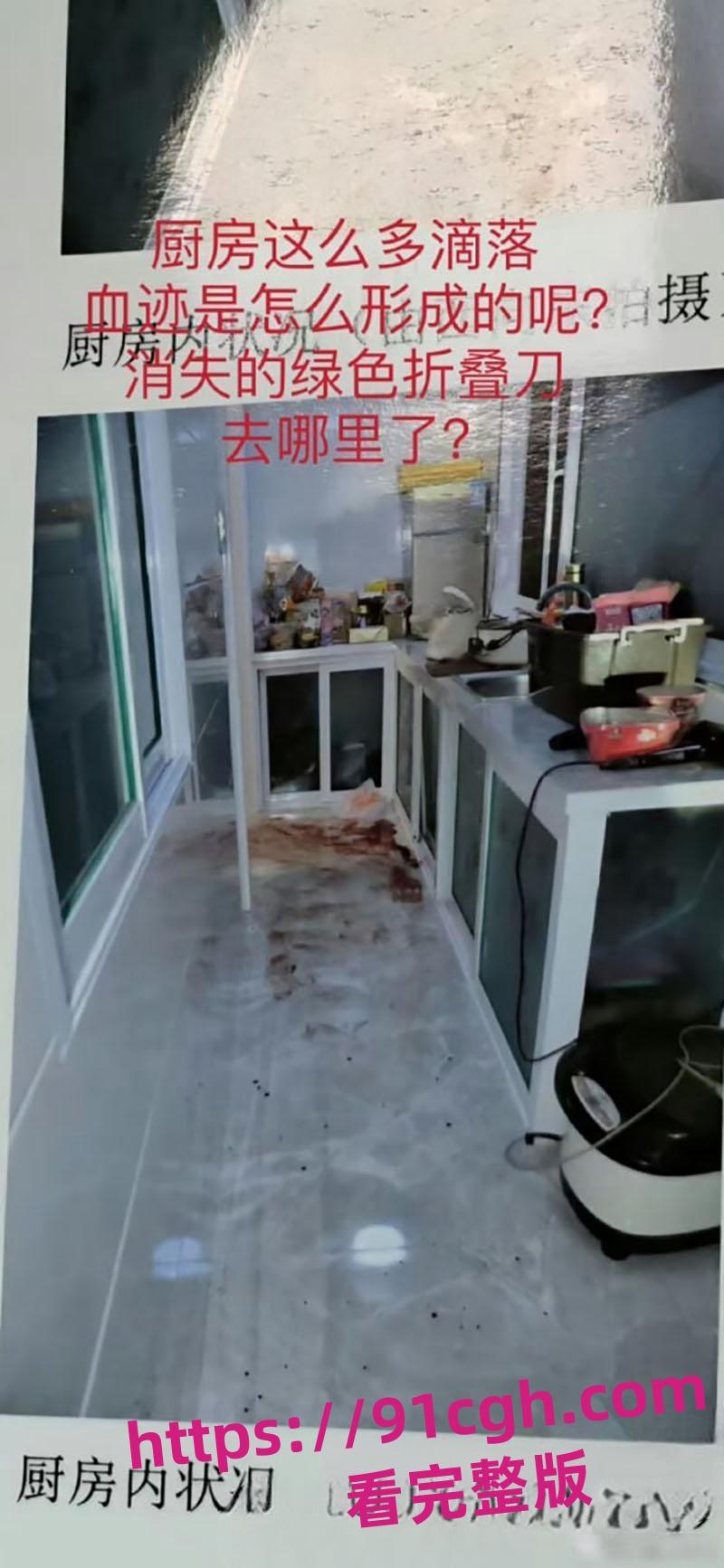 辽宁大连普兰店女孩 徐园 事件再起波澜 男子家中砍死女友 却被无罪释放!-9