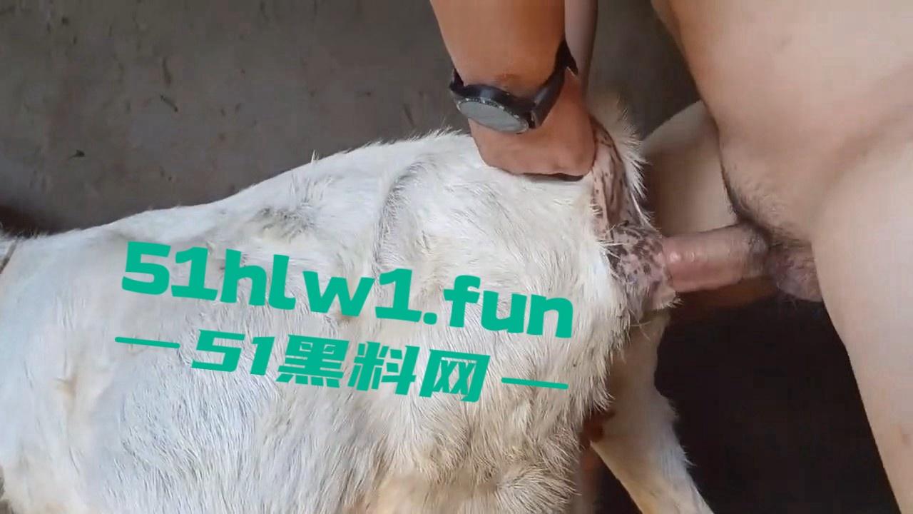 炸裂三观,网友分享自己【人兽羊】的真实经历还附带视频,这小羊的嫩逼堪比萝莉吗-11