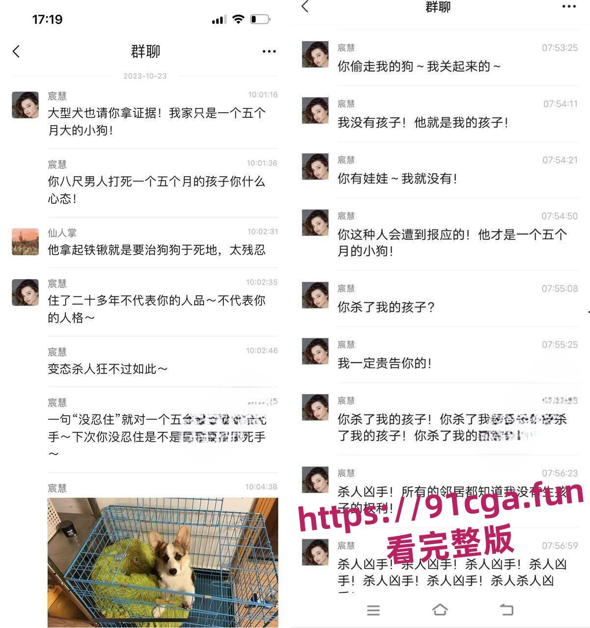 安徽宣城5月龄小柯基扑向孩子 家长拿铁锹活活把狗拍死!-3