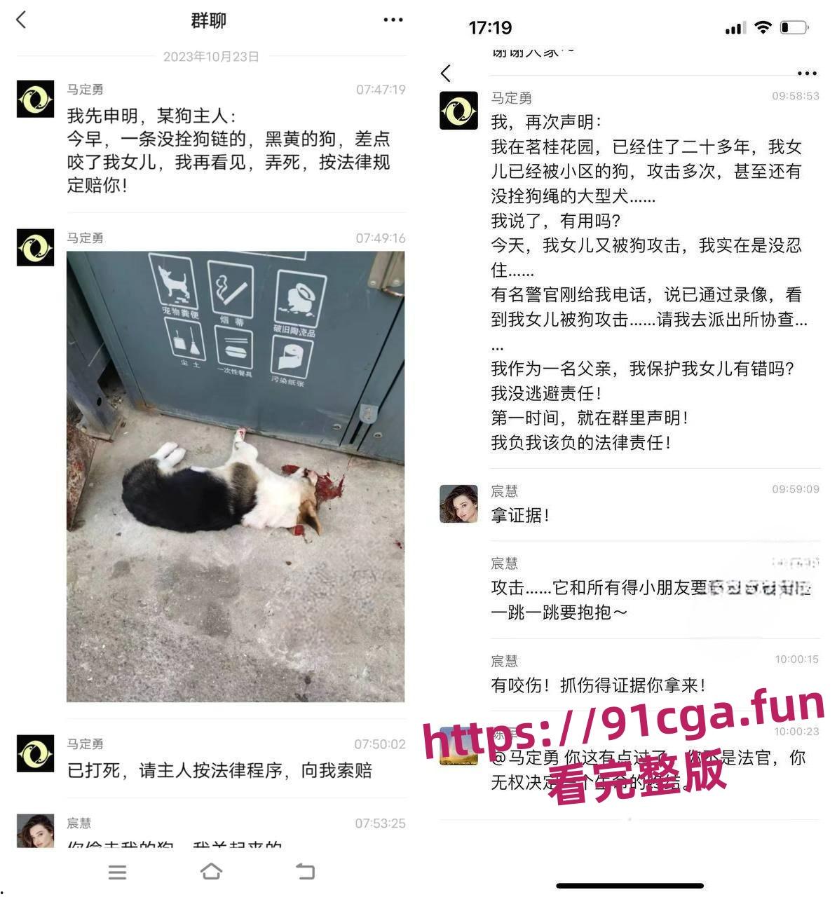 安徽宣城5月龄小柯基扑向孩子 家长拿铁锹活活把狗拍死!-4