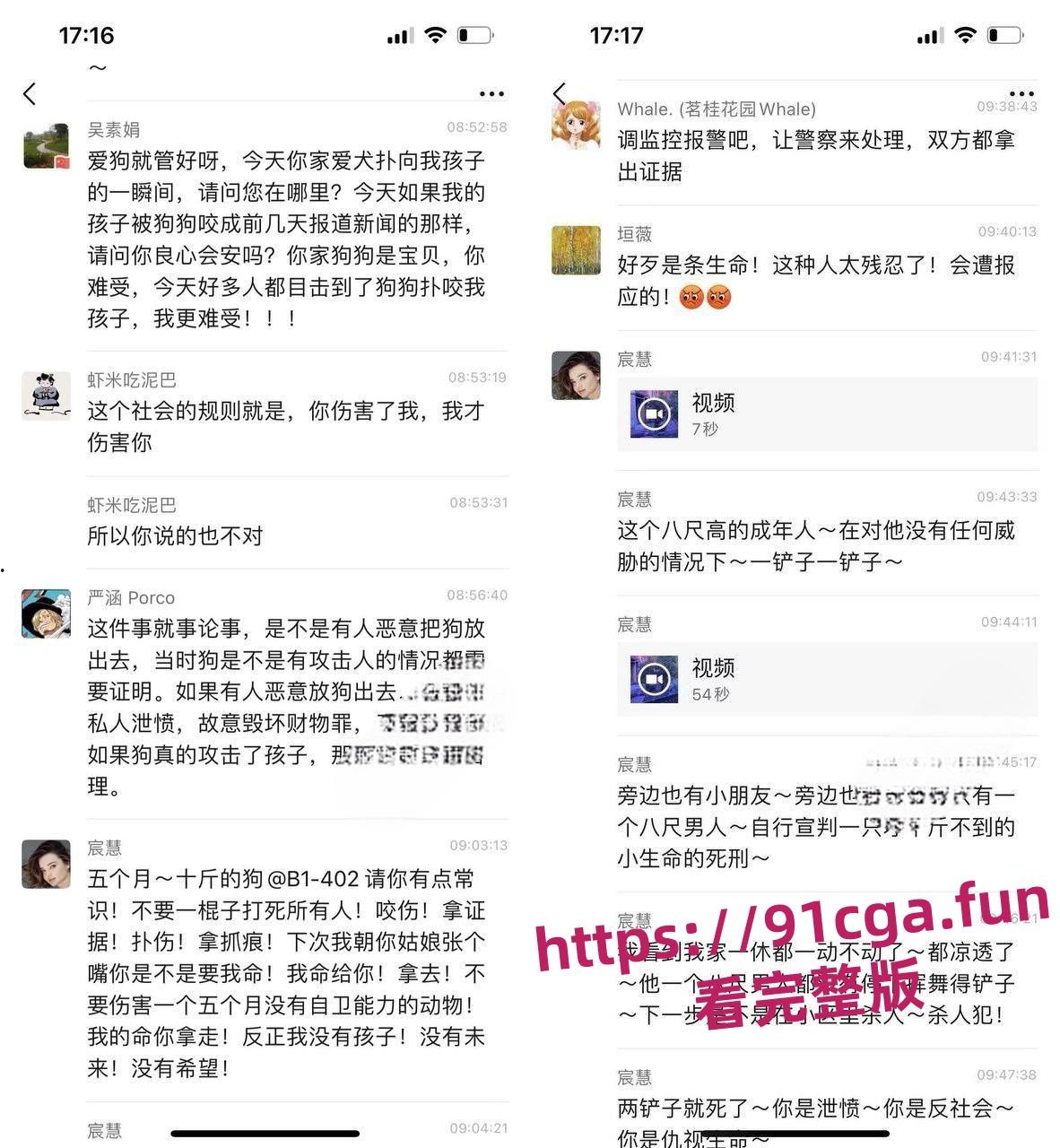 安徽宣城5月龄小柯基扑向孩子 家长拿铁锹活活把狗拍死!-5