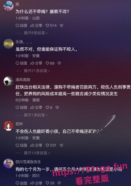 安徽宣城5月龄小柯基扑向孩子 家长拿铁锹活活把狗拍死!-7