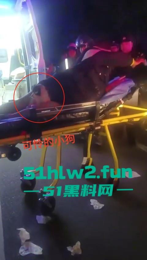 浙江丹州紫竹山庄女子【人兽与狗】性交,狗鸡巴卡阴道里面出不来只能送医救治,社死现场视频。-3