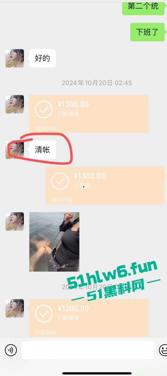 上海老鸡婆坑骗小鸡婆，高价整容吃回扣聊天记录曝光，俩骚逼互怼挺有意思 。-15