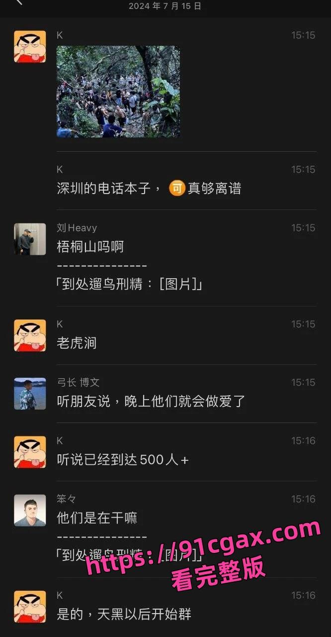 深圳梧桐山老虎涧夜间百人基佬野战淫趴场面真壮观！-3